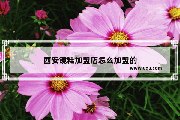 西安镜糕加盟店怎么加盟的