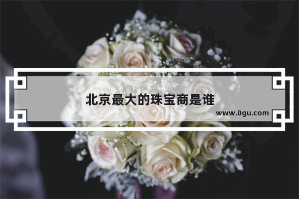 北京最大的珠宝商是谁
