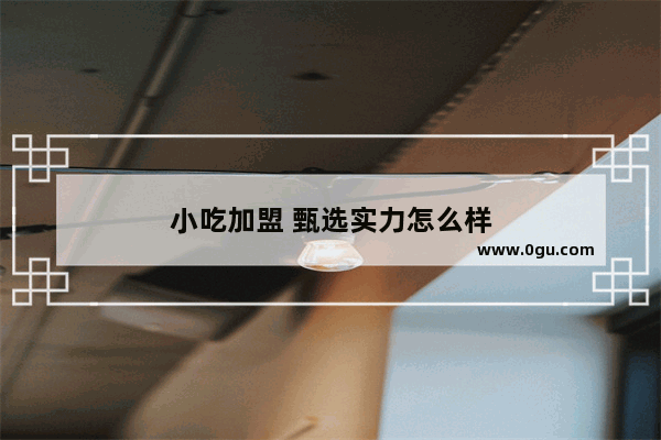 小吃加盟 甄选实力怎么样