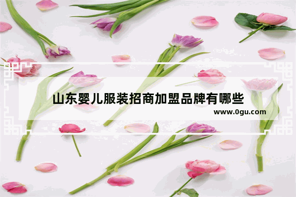 山东婴儿服装招商加盟品牌有哪些