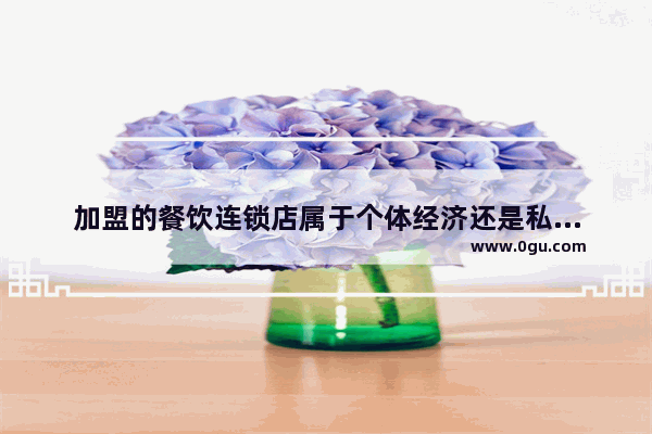 加盟的餐饮连锁店属于个体经济还是私营经济