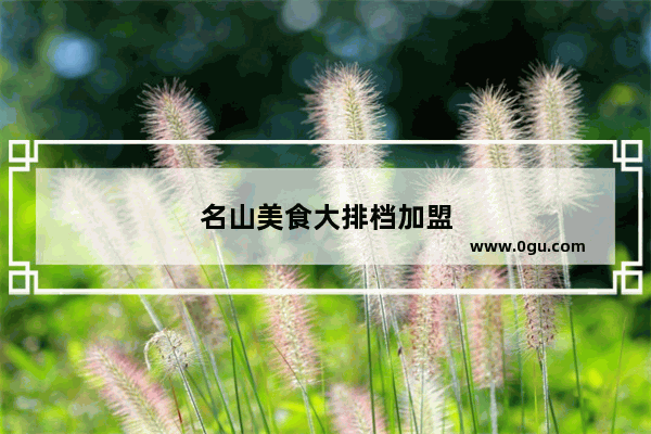 名山美食大排档加盟