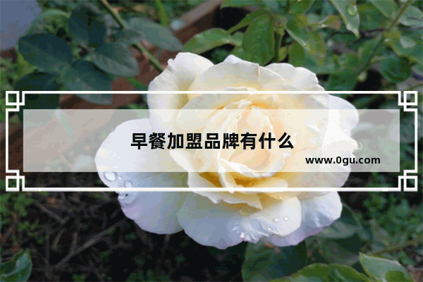 早餐加盟品牌有什么