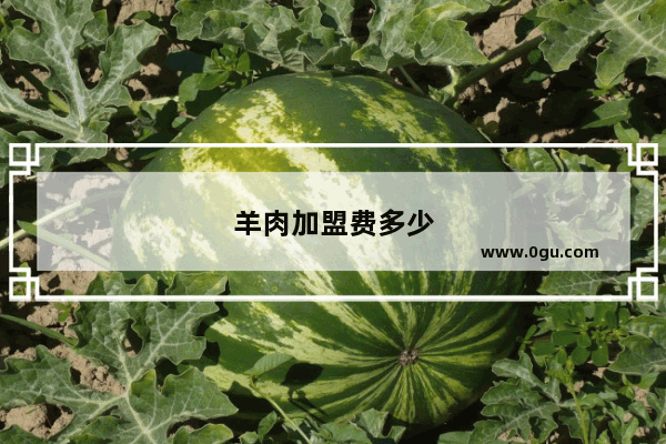 羊肉加盟费多少