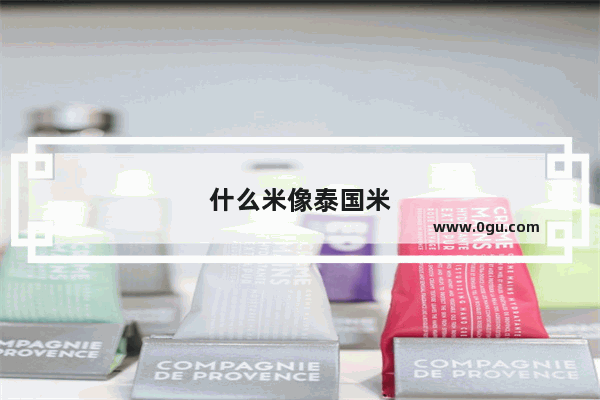 什么米像泰国米