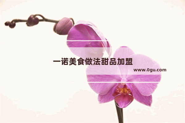一诺美食做法甜品加盟