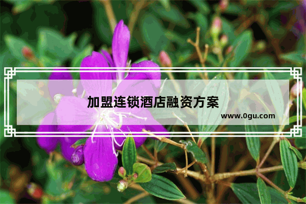 加盟连锁酒店融资方案