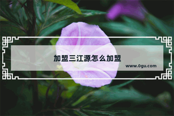 加盟三江源怎么加盟