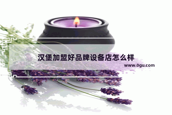 汉堡加盟好品牌设备店怎么样