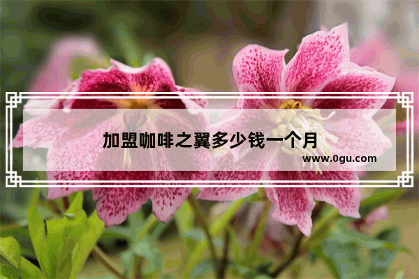 加盟咖啡之翼多少钱一个月
