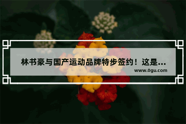 林书豪与国产运动品牌特步签约！这是否意味着林书豪在CBA效力将成为事实
