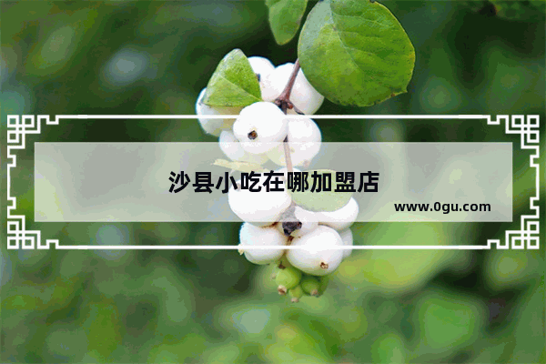 沙县小吃在哪加盟店