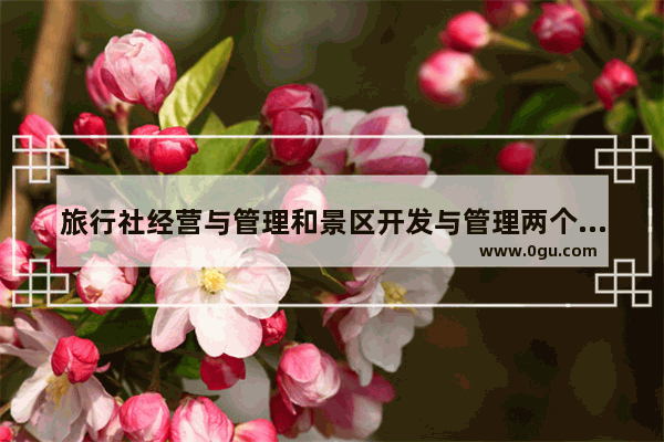 旅行社经营与管理和景区开发与管理两个方向如何选择