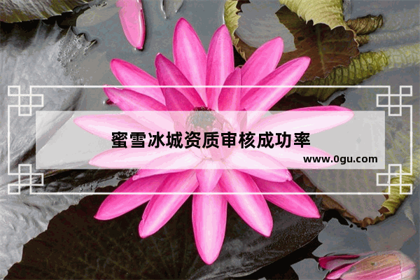 蜜雪冰城资质审核成功率