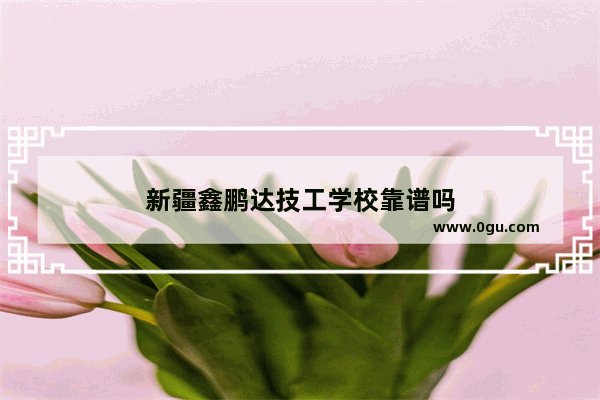 新疆鑫鹏达技工学校靠谱吗