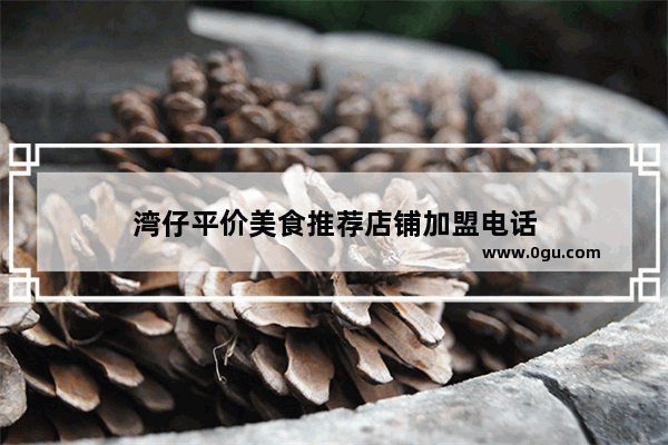 湾仔平价美食推荐店铺加盟电话