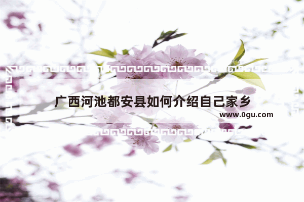 广西河池都安县如何介绍自己家乡