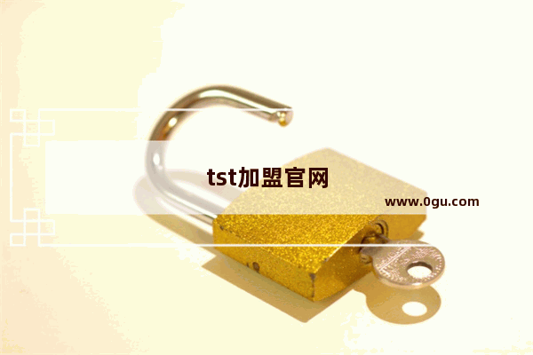 tst加盟官网