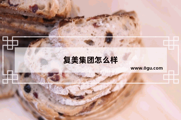 复美集团怎么样