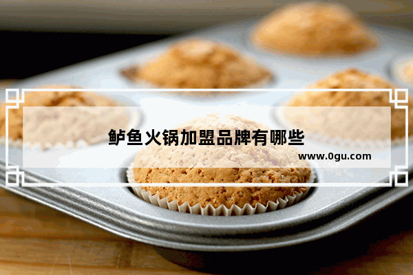 鲈鱼火锅加盟品牌有哪些