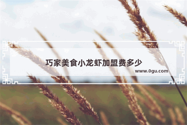 巧家美食小龙虾加盟费多少