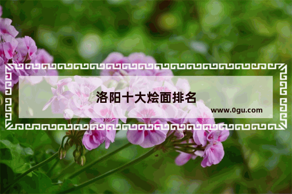 洛阳十大烩面排名