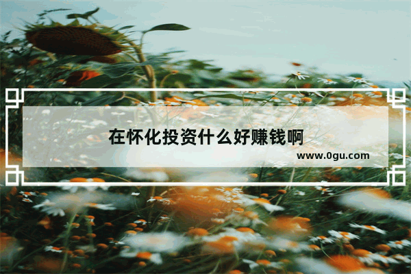 在怀化投资什么好赚钱啊