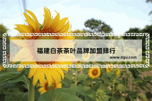 福建白茶茶叶品牌加盟排行
