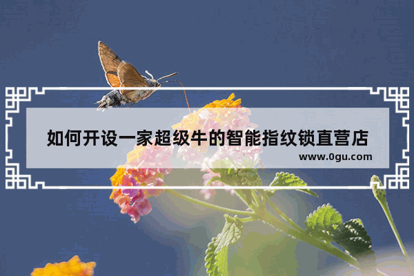 如何开设一家超级牛的智能指纹锁直营店
