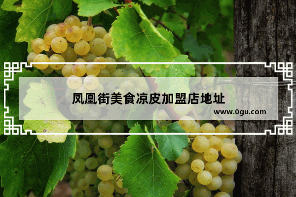 凤凰街美食凉皮加盟店地址
