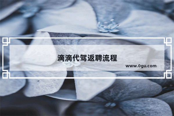 滴滴代驾返聘流程