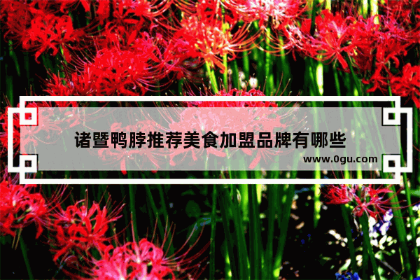 诸暨鸭脖推荐美食加盟品牌有哪些