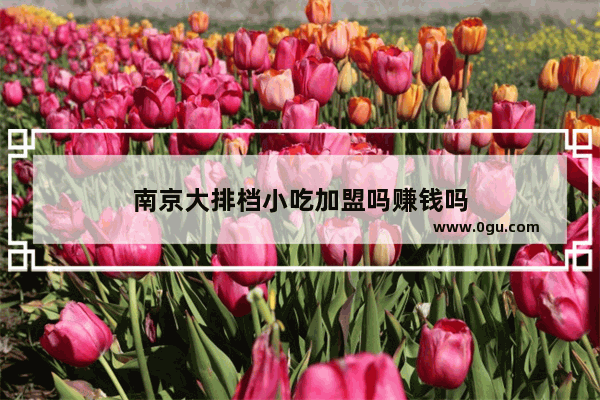 南京大排档小吃加盟吗赚钱吗