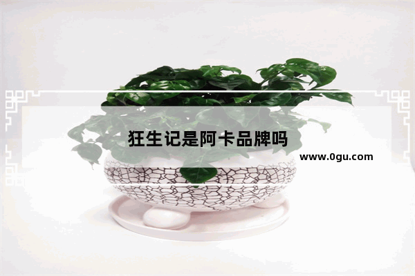 狂生记是阿卡品牌吗