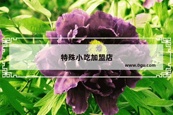 特殊小吃加盟店