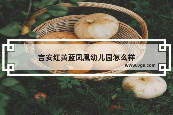 吉安红黄蓝凤凰幼儿园怎么样