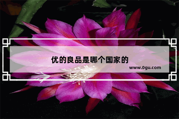 优的良品是哪个国家的