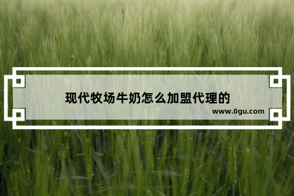 现代牧场牛奶怎么加盟代理的