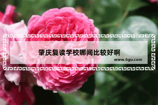 肇庆复读学校哪间比较好啊