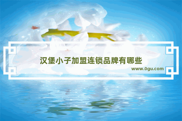 汉堡小子加盟连锁品牌有哪些