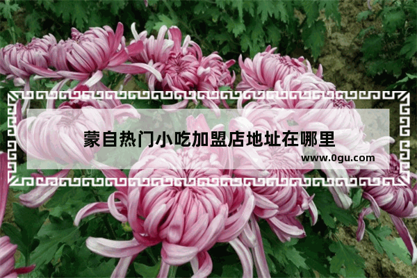蒙自热门小吃加盟店地址在哪里