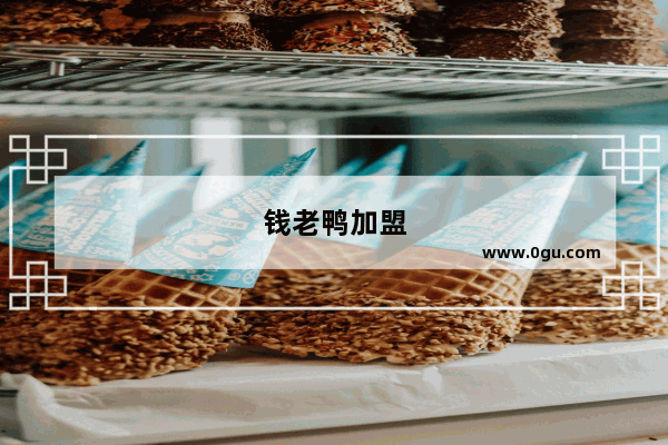 钱老鸭加盟