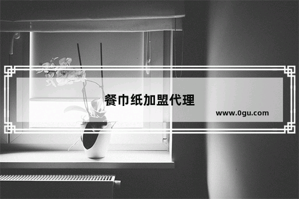 餐巾纸加盟代理