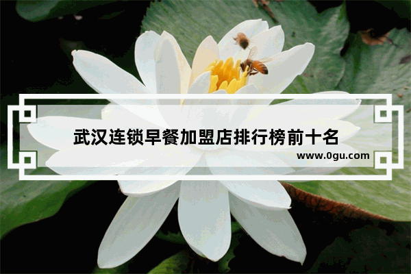 武汉连锁早餐加盟店排行榜前十名