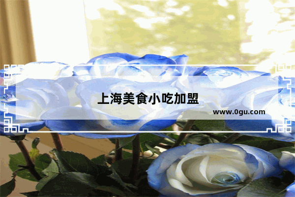 上海美食小吃加盟