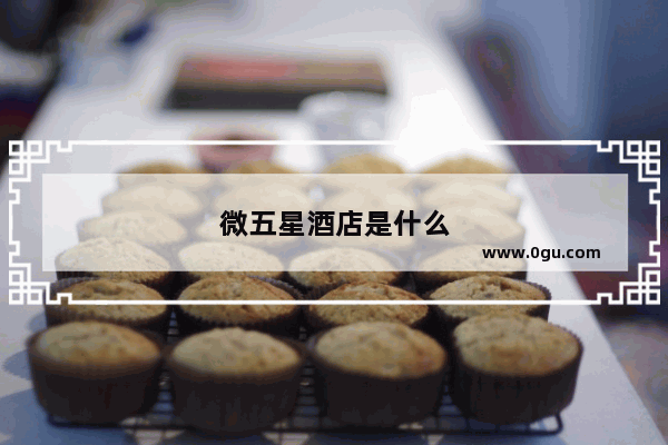 微五星酒店是什么