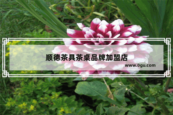 顺德茶具茶桌品牌加盟店