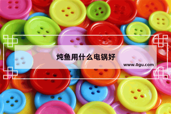 炖鱼用什么电锅好
