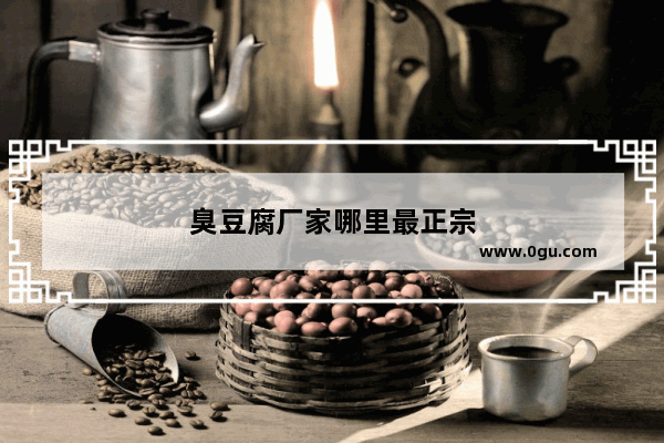 臭豆腐厂家哪里最正宗