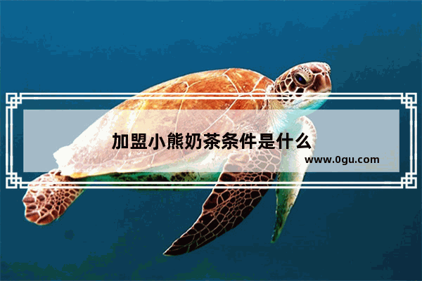 加盟小熊奶茶条件是什么